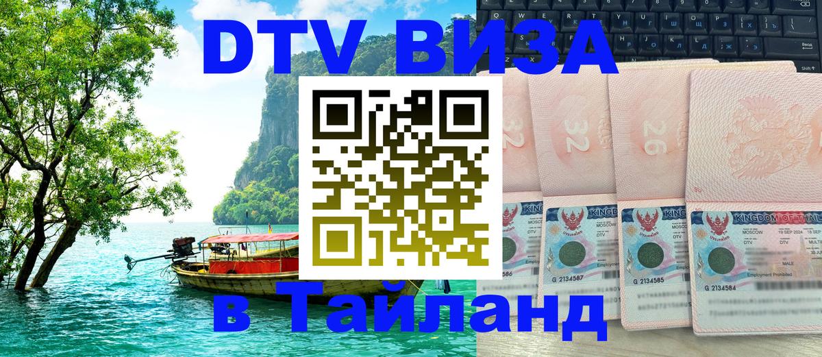 Оформление DTV визы под ключ: стоимость и тарифы, только загранпаспорт - 20.11.2025 